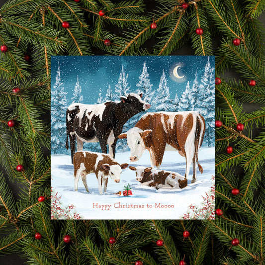 Spending time with Moo • Christmas Cards