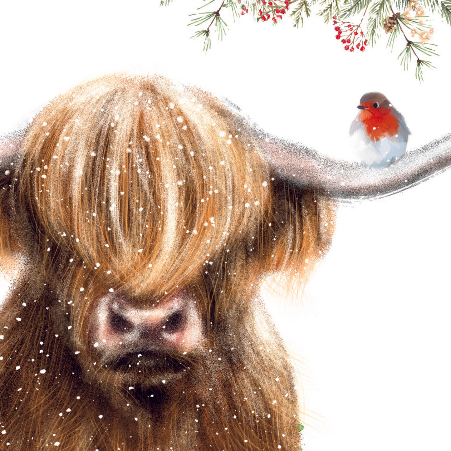 Christmas Cards - Highland Friends