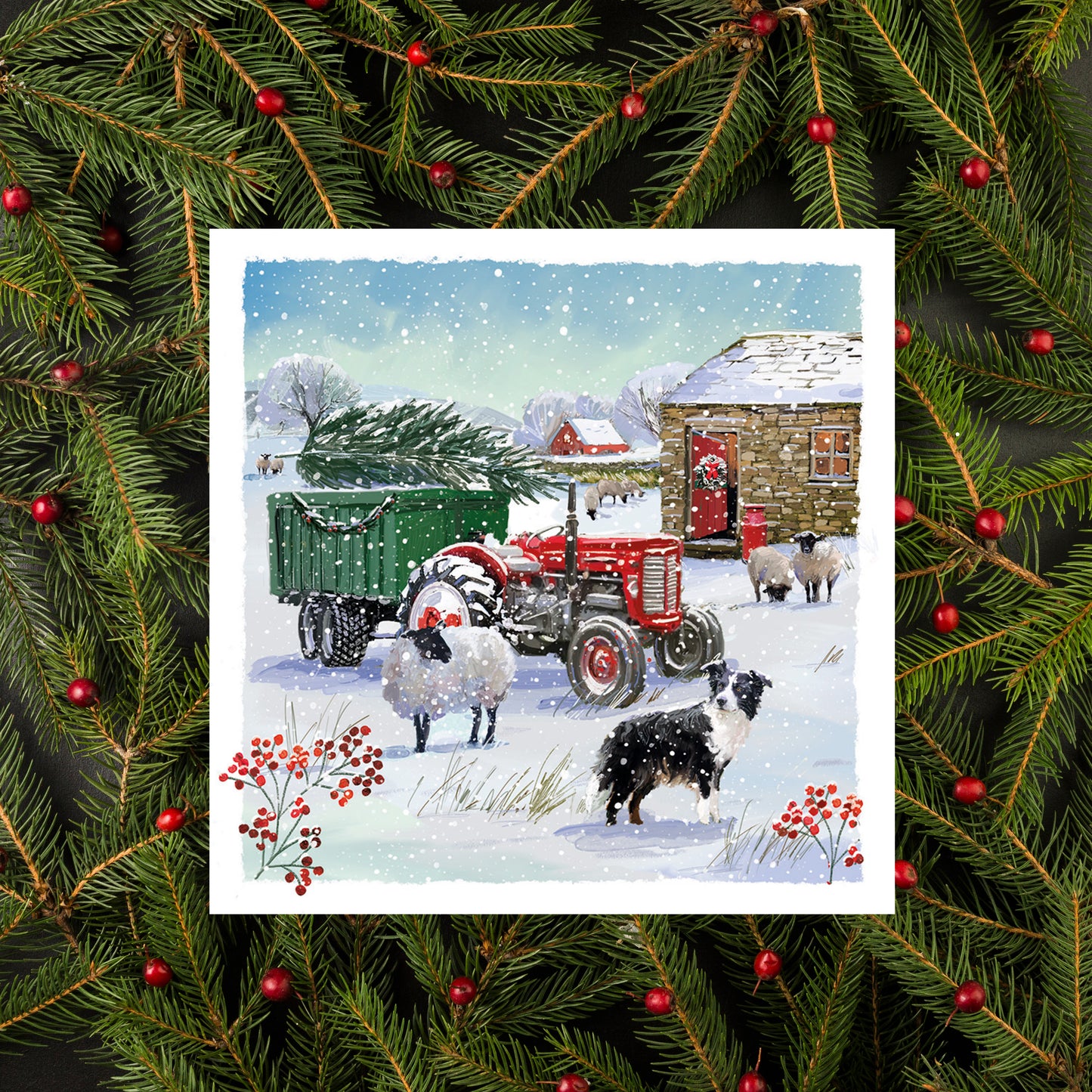 Snow on the Farm •  Christmas Cards