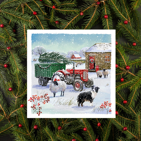 Snow on the Farm • Christmas Cards