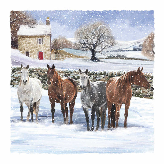 Christmas Cards - Horses in the Snowy Field