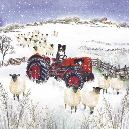 Christmas Cards - Sheps Tractor