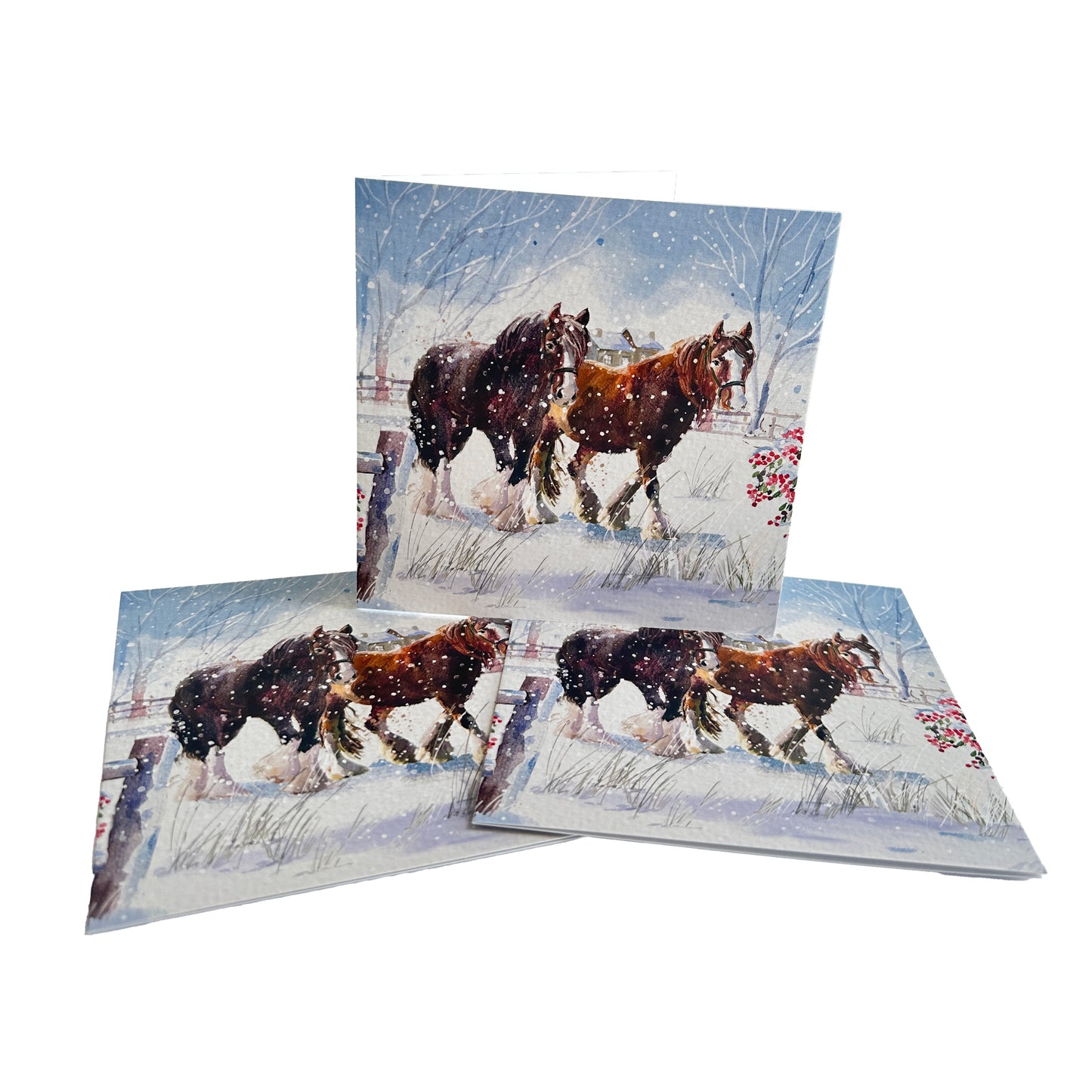 Frosty Morning Christmas Cards