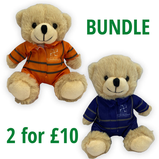 Teddy Bear Bundle