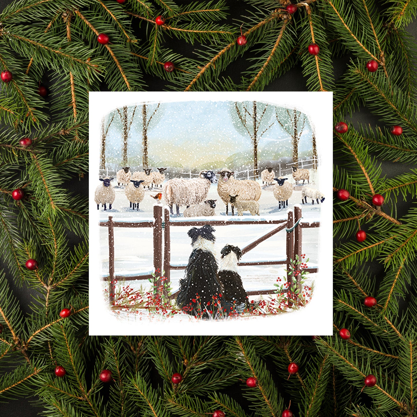 Watching The Flock Christmas Cards