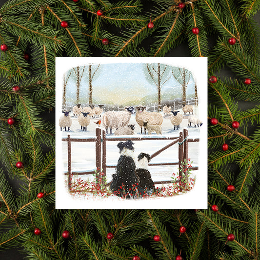 Watching The Flock Christmas Cards