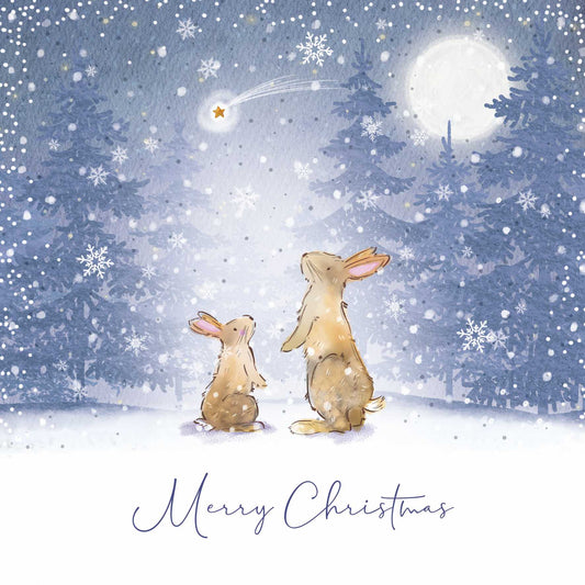 Christmas Cards - Watching the Star